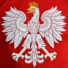 Koszulka Orzeł czerwona Aquila - nadruk przód