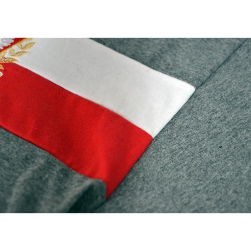 Koszulka Wielka Polska - pasy szara Aquila - flaga