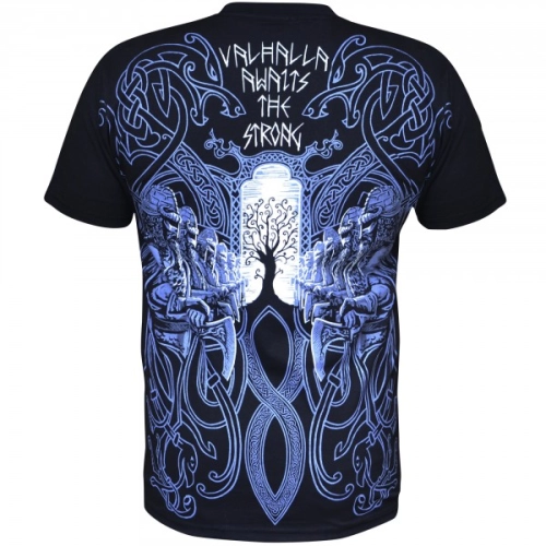Koszulka Viking - Blue Ragnarok Aquila - tył