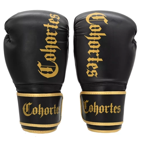 Rękawice bokserskie Latus Cohortes - fighterskie