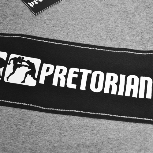 Koszulka Fight Division szara Pretorian - detale