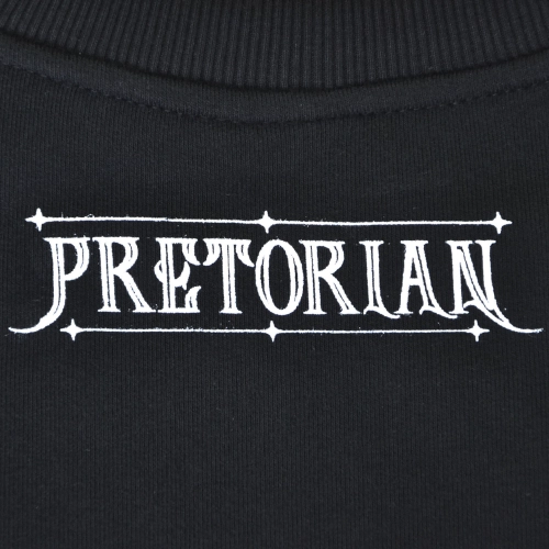 Bluza Never Give Up Pretorian - nadruk tył